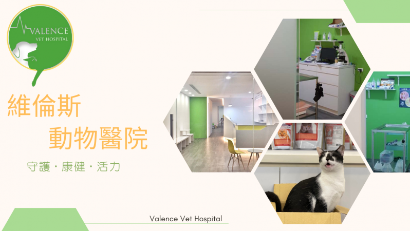 維倫斯動物醫院